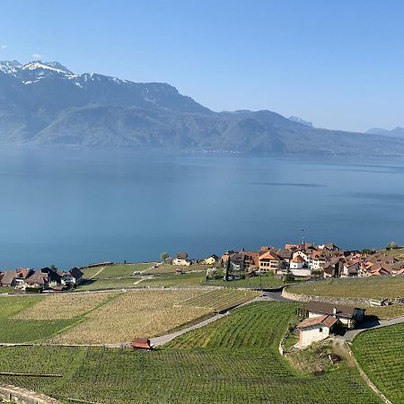 La Gremillette Gourmande Lavaux Apartment Rivaz Exterior photo
