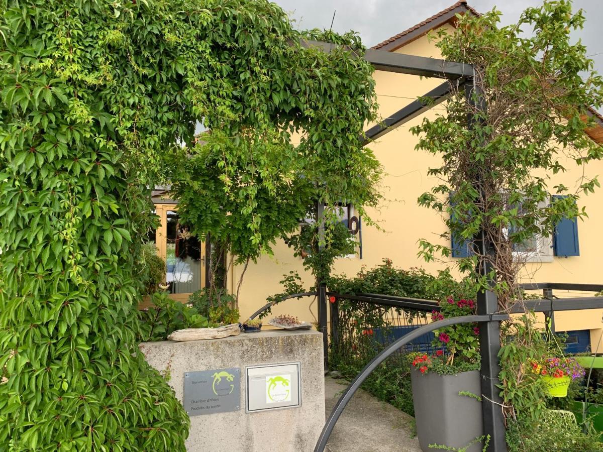 La Gremillette Gourmande Lavaux Apartment Rivaz Exterior photo