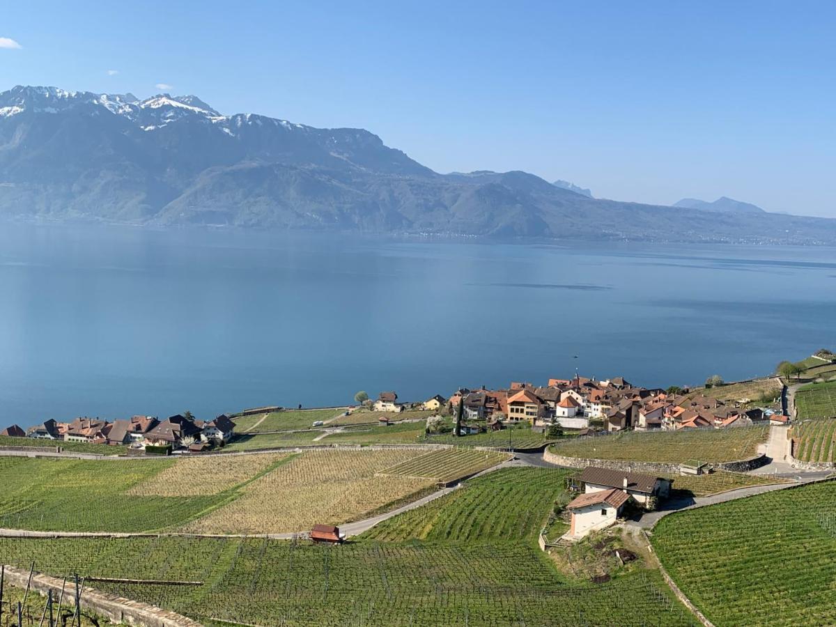La Gremillette Gourmande Lavaux Apartment Rivaz Exterior photo